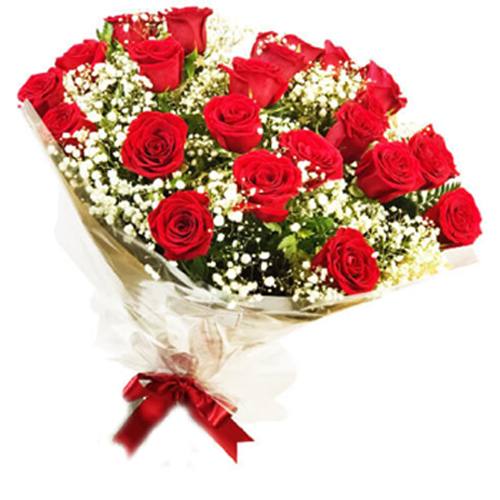 5376 ❣ Tradicional de Rosas vermelhas ❣