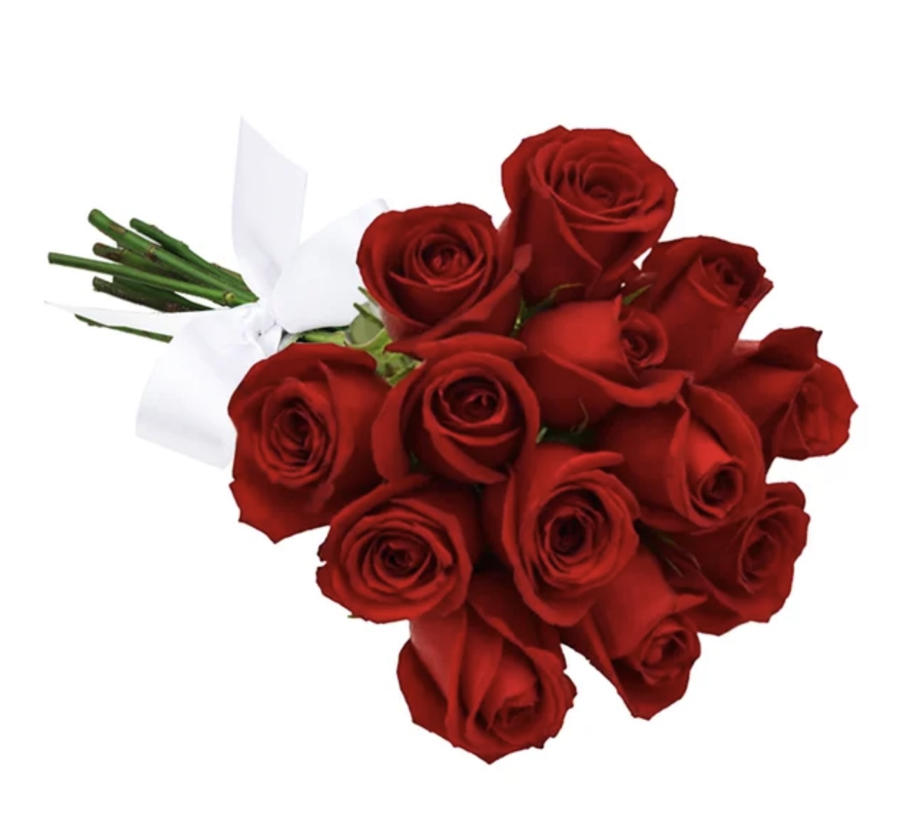 Promoção - Rosas Vermelhas Curitiba